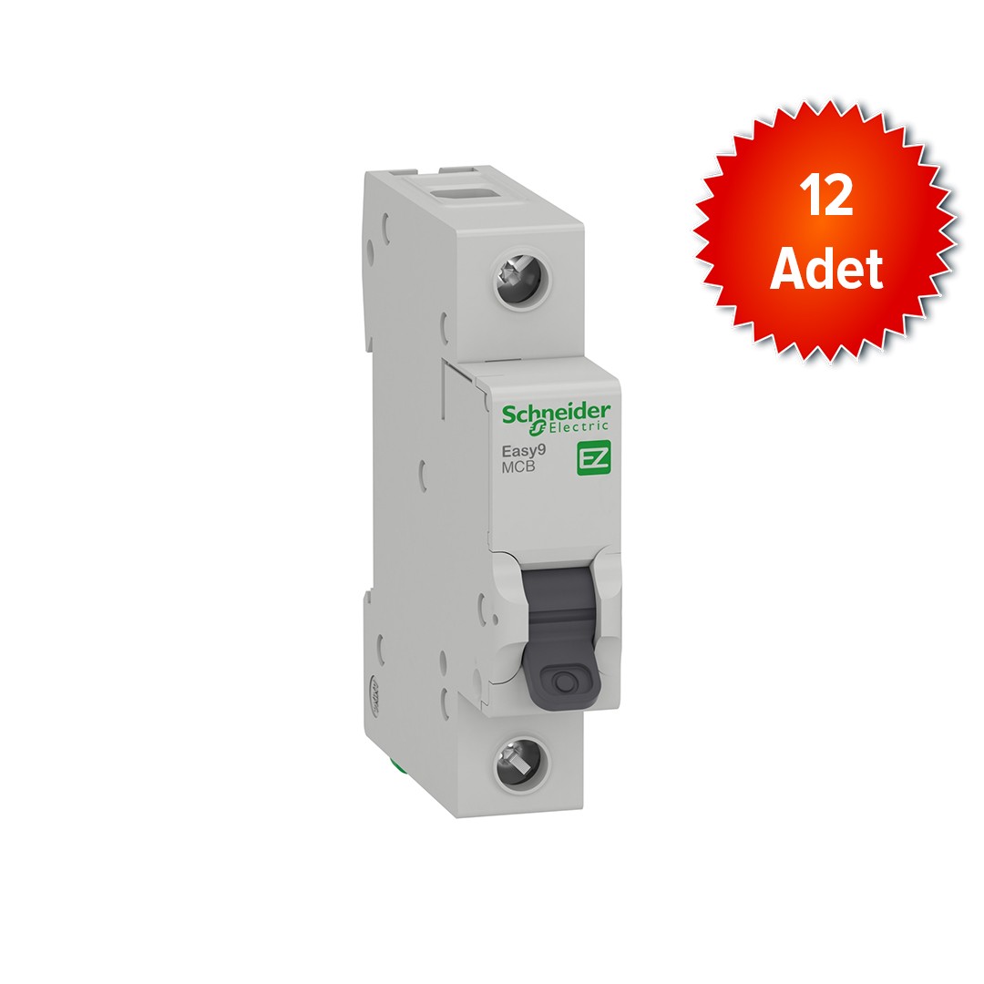 Easy9 1P 2A, 3kA C Eğrisi Otomat