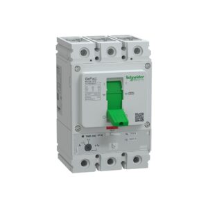 GOMCCB 250B 3P3D 250A Ayarlanabilir