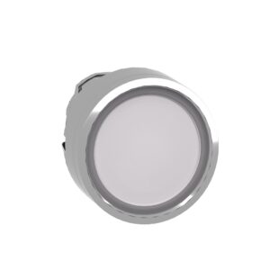 ILLUMINATED PUSH / PUSH H